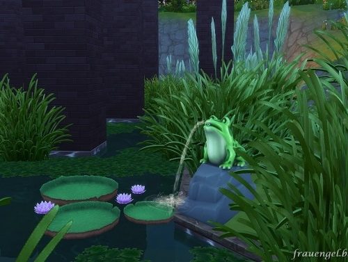 Sun Dew house no CC at Frau Engel