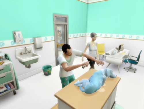 Animal Care Vet Clinic at Via Sims
