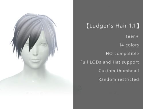 Anime Mesh Hair