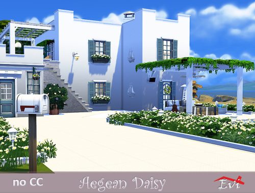 Aegean Daisy
