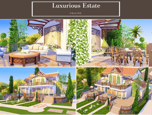 Luxurious Estate