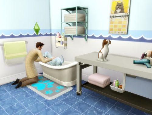 Animal Care Vet Clinic at Via Sims