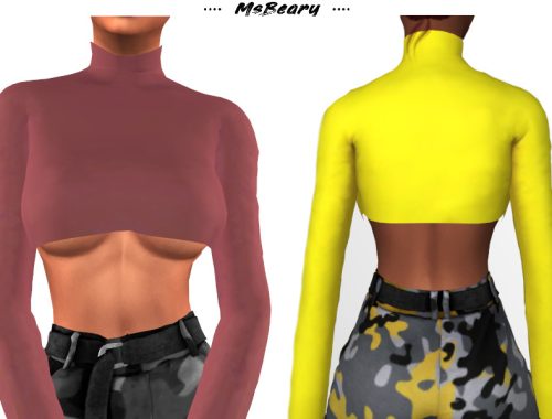 Long Sleeve Short Croptop