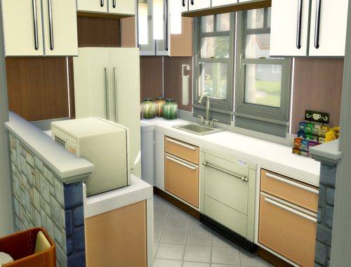 661 PARCHED PROSPECT MID CENT. MOD HOME