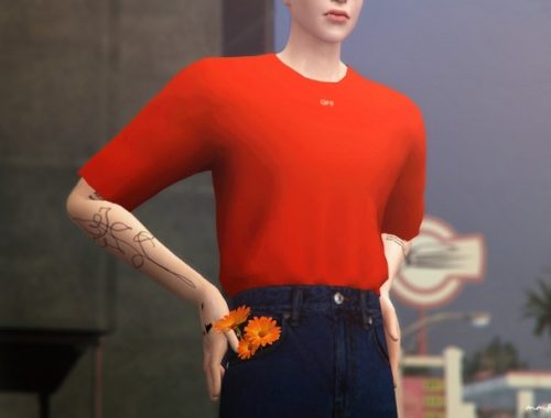 Calendula Set at MMSIMS