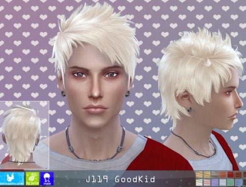 J119 Goodkid Newsea Hair (Donate)