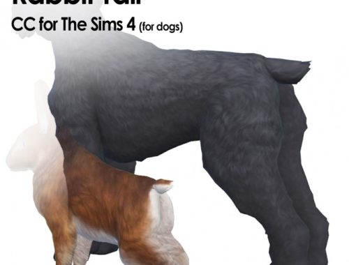 New Tails for Dogs and an update for the Cats at Kalino