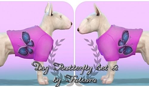 Butterfly set 10x set 2 For small dog at Petka Falcora