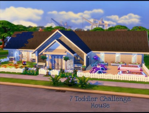 7 Toddler Challenge House