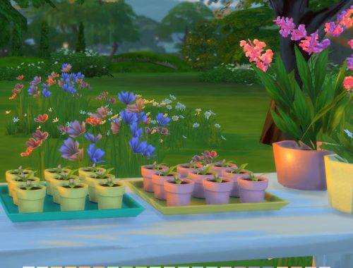 Flower Pots Tray at Simlish Designs