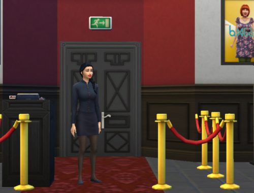 Musical Theatre Career