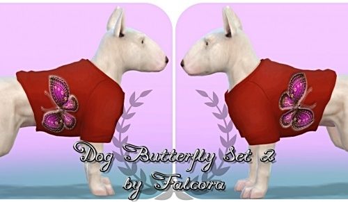 Butterfly set 10x set 2 For small dog at Petka Falcora