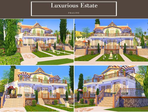 Luxurious Estate