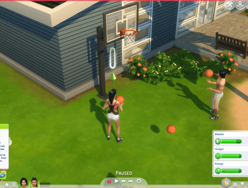 Sports Enthusiast Trait (Teen-Elder)