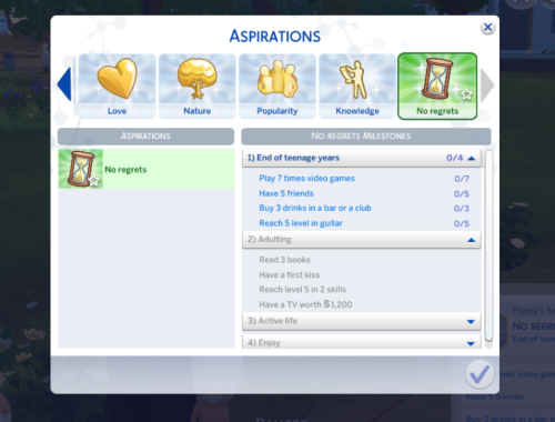 No regrets Aspiration (custom aspiration)