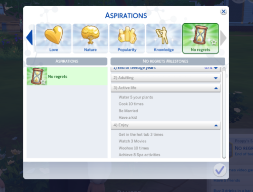 No regrets Aspiration (custom aspiration)