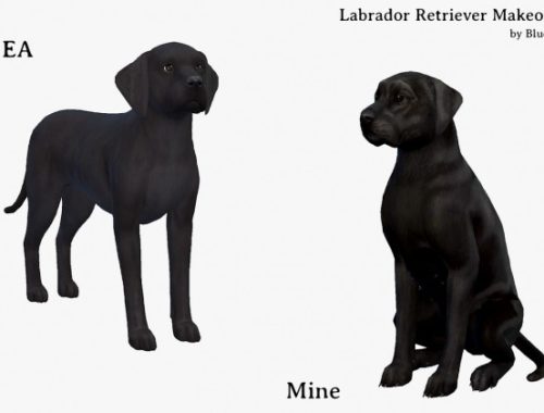Labrador Retriever Makeover V3 at Blue Ancolia