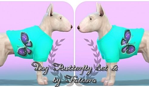 Butterfly set 10x set 2 For small dog at Petka Falcora