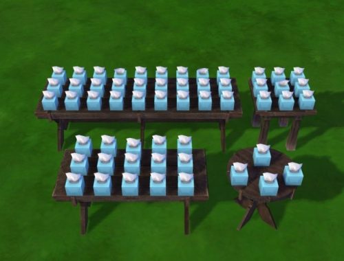 Monastic library at Mara45123