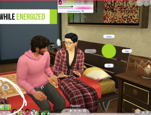 Woohoo/TryforBaby Interaction Hider