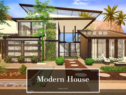 Modern House