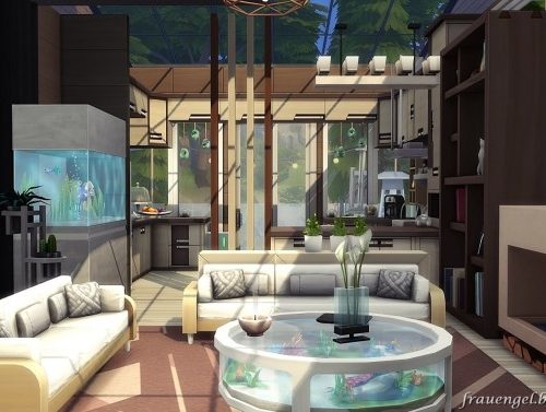 Sun Dew house no CC at Frau Engel