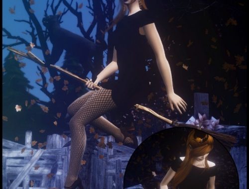 Fly with cat poses at Rethdis-love