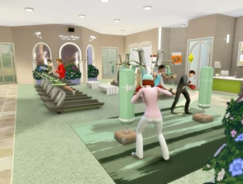 Fitness Center Oasis Springs at Via Sims