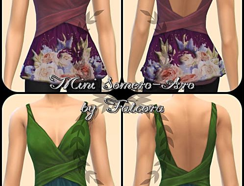 Mini Somero Aro 16x top at Petka Falcora