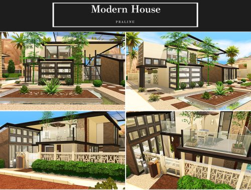 Modern House
