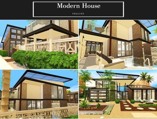 Modern House
