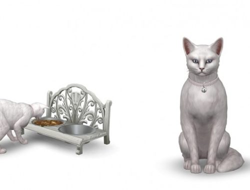 Cat/small dogbed, food bowl and collar by Sandy at Around the Sims 4