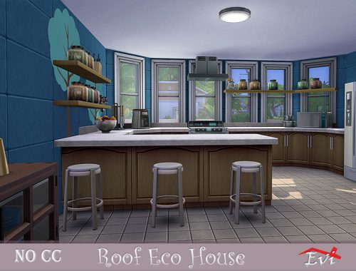 Roof Eco house