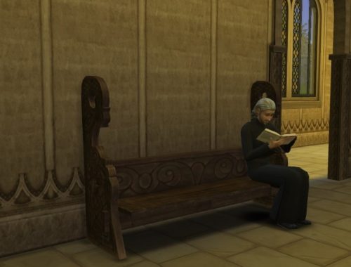 Skyrim Monastic library at Mara45123