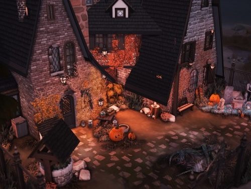The Wizard’s House at Miss Ruby Bird