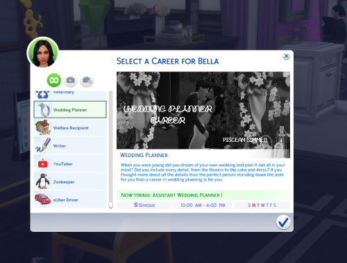 Wedding Planner Career