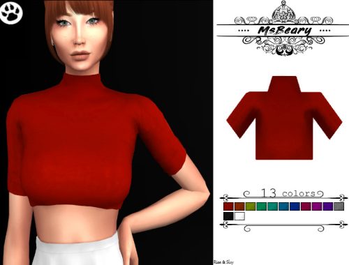 Croptop Turtleneck