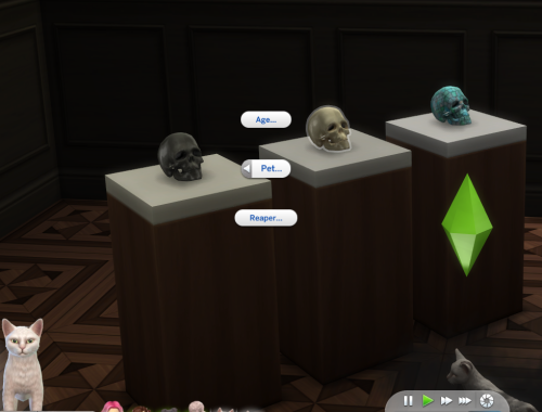 The Skull of Life and Death