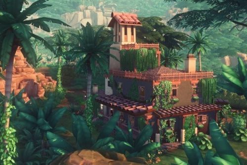 BELOMISIA FIELD STATION at Picture Amoebae