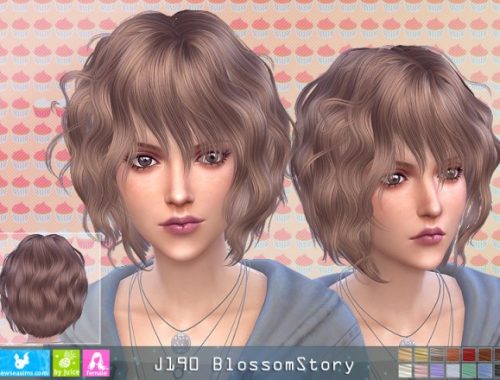 J190 Blossom Story hair