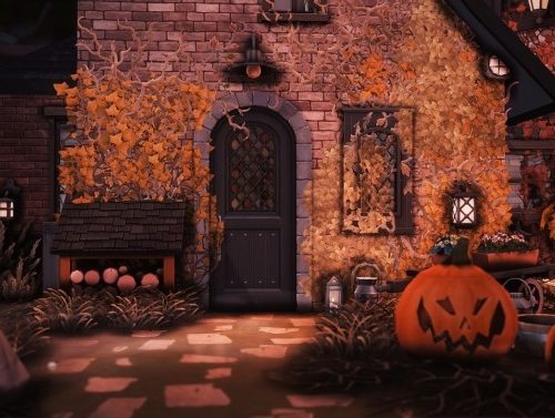 The Wizard’s House at Miss Ruby Bird