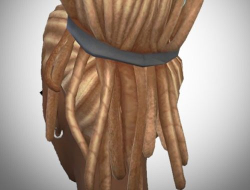 Great Dread Knot hair