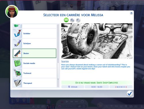 Skateboarder Career