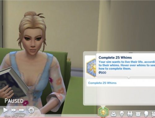 Whimsical Ways Custom Aspiration by PurpleThistles