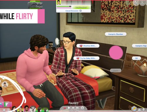Woohoo/TryforBaby Interaction Hider
