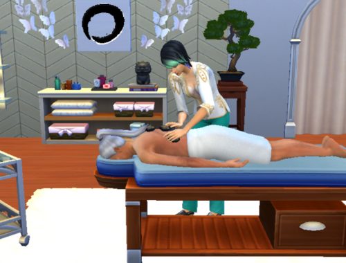 Wellness Career