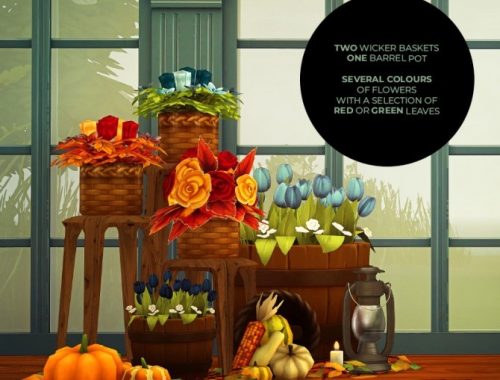 CAROLINE RUGS, ADAMSKA SPECIAL Flowers & THE FOILS SET at Pleyita