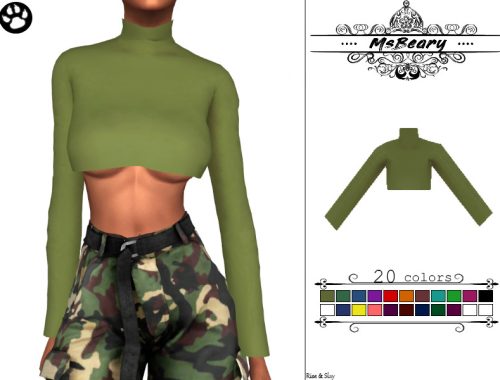 Long Sleeve Short Croptop