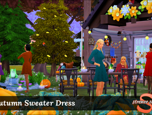 Autumn Sweater Dress
