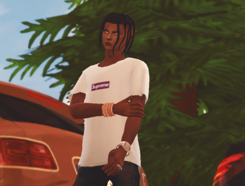 Iconic Supreme Tees